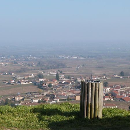 Logis Hotel Des Grands Vins Fleurie Buitenkant foto