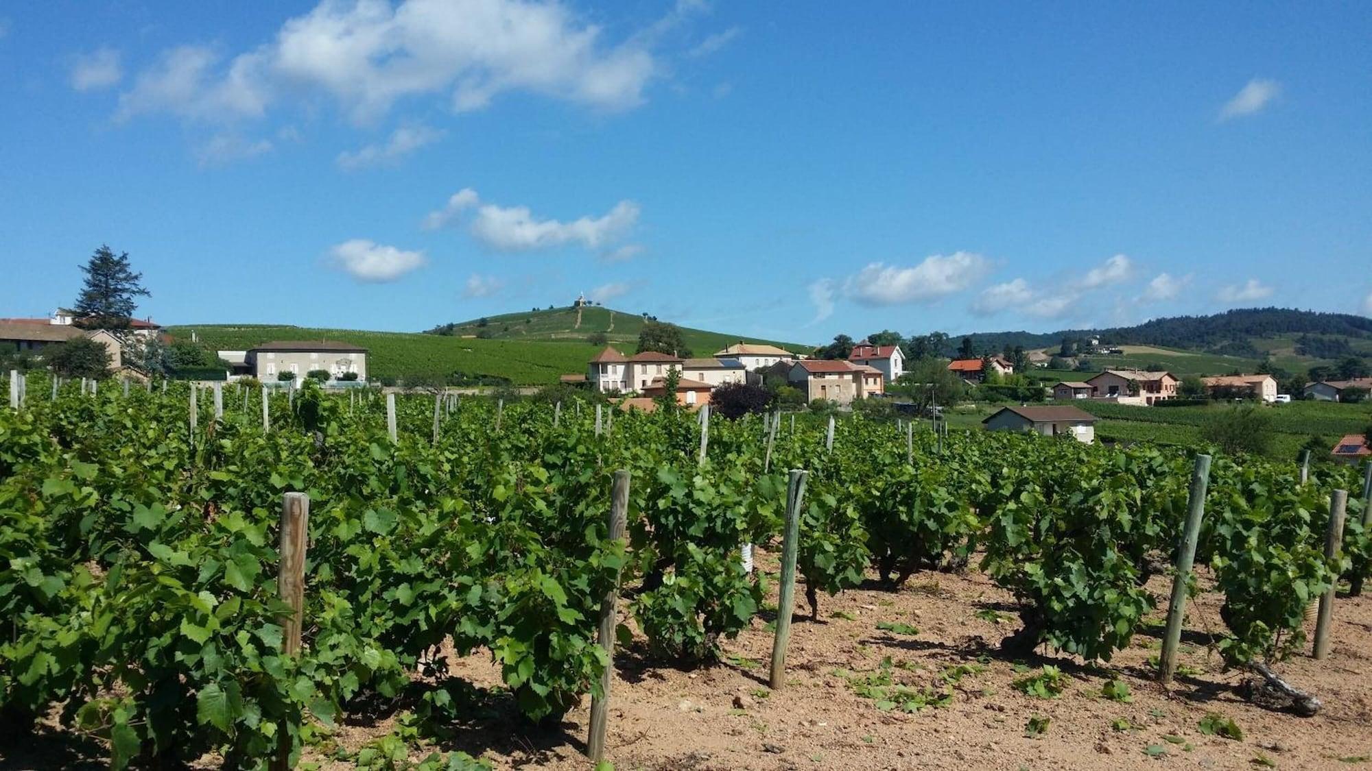 Logis Hotel Des Grands Vins Fleurie Buitenkant foto