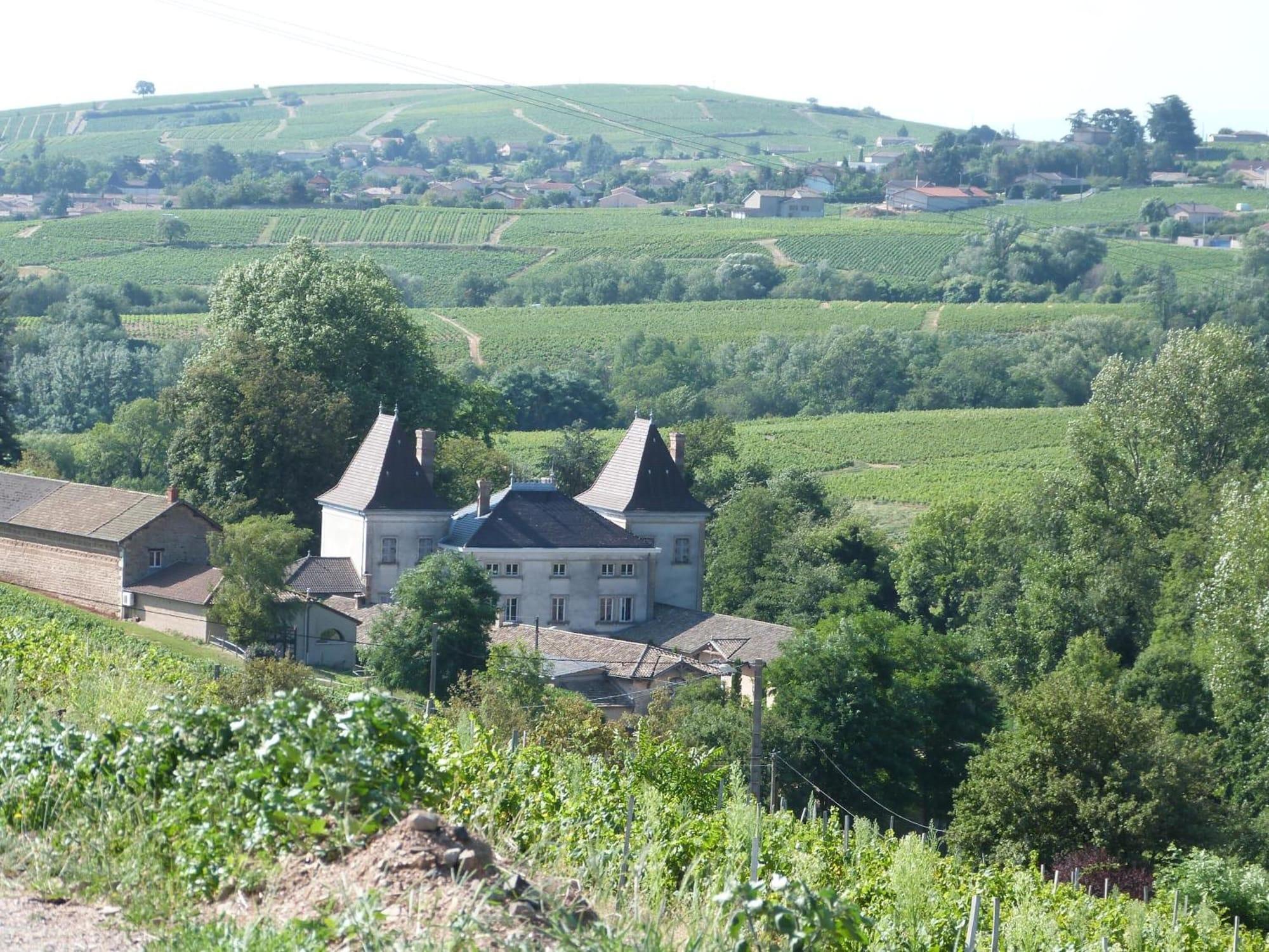 Logis Hotel Des Grands Vins Fleurie Buitenkant foto