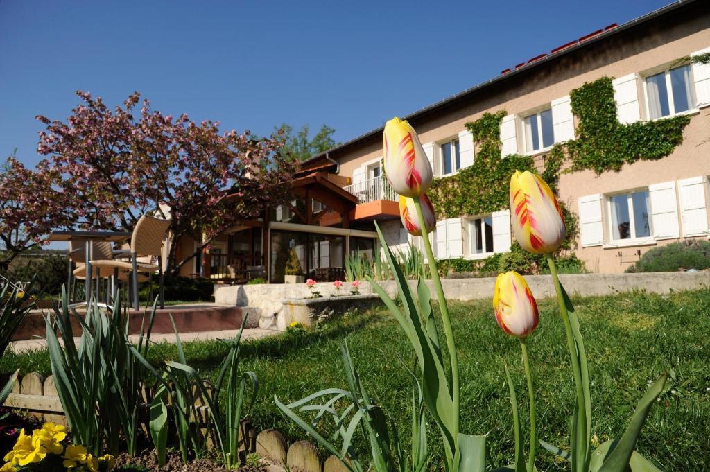 Logis Hotel Des Grands Vins Fleurie Buitenkant foto