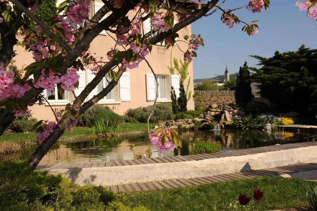 Logis Hotel Des Grands Vins Fleurie Buitenkant foto