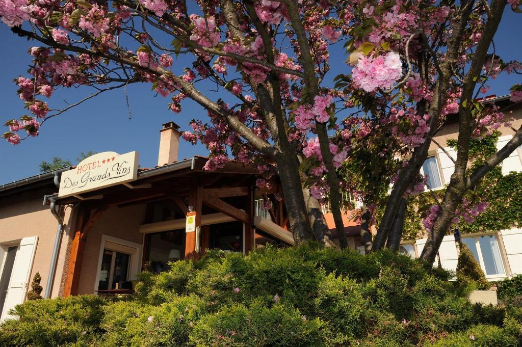 Logis Hotel Des Grands Vins Fleurie Buitenkant foto