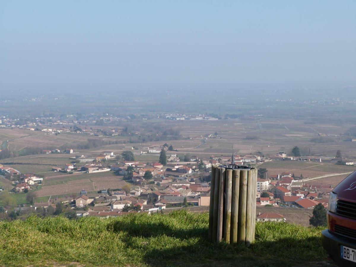 Logis Hotel Des Grands Vins Fleurie Buitenkant foto